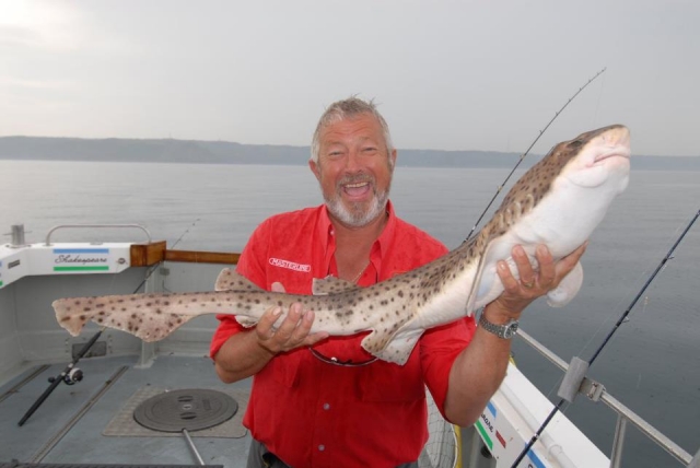 A good catch!